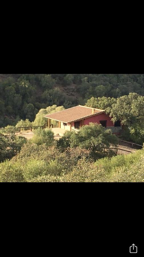 Villa Cigarra Sierra à Cordoue Extérieur photo